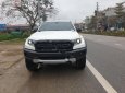 Ford Ranger   2019 - Bán Ford Ranger sản xuất 2019, màu trắng, nhập khẩu