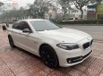 BMW 5 Series 2016 - Cần bán lại xe BMW 5 Series 520i sản xuất 2016, màu trắng, nhập khẩu nguyên chiếc