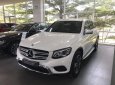 Mercedes-Benz GLC-Class   2019 - Cần bán lại xe Mercedes năm sản xuất 2019, nhập khẩu nguyên chiếc