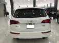 Audi Q5    2013 - Cần bán xe Audi Q5 năm 2013, xe nhập