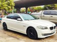 BMW 5 Series 2011 - Xe BMW 5 Series 523i sản xuất 2011, nhập khẩu nguyên chiếc