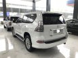 Lexus GX460 2015 - Bán xe Lexus GX460 2015, màu trắng xuất Mỹ biển đẹp