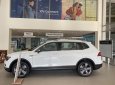 Volkswagen Tiguan 2020 - Giảm 200 triệu khi mua xe 7 chỗ Tiguan Allspace nhập khẩu chỉ có trong tháng 4