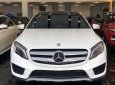 Mercedes-Benz GLA-Class   2016 - Cần bán gấp Mercedes GLA 250 đời 2016, màu trắng, nhập khẩu