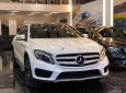 Mercedes-Benz GLA-Class   2016 - Cần bán gấp Mercedes GLA 250 đời 2016, màu trắng, nhập khẩu