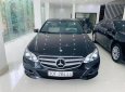 Mercedes-Benz E class 2014 - Bán ô tô Mercedes E class sản xuất 2014