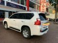 Lexus GX   2010 - Bán Lexus GX460 sản xuất 2010, màu trắng xe gia đình