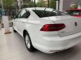 Volkswagen Passat 2018 - Volkswagen Passat  - Mẫu xe sang 5 chỗ Sedan hạng D, Xe nhập khẩu nguyên chiếc Đức. Tặng 100% phí trước bạ