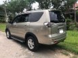 Mitsubishi Zinger 2009 - Cần bán Mitsubishi Zinger năm sản xuất 2009, giá chỉ 299 triệu