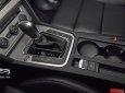 Volkswagen Passat Bluemotion Comfort 2018 - Volkswagen Passat Comfort nhập khẩu nguyên chiếc, GIAO NGAY, TẶNG 100% PHÍ TRƯỚC BẠ + TRẢ GÓP 0% 1 NĂM, lấy xe từ 300tr