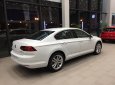 Volkswagen Passat Bluemotion Comfort 2017 - Cần bán Volkswagen Passat Bluemotion Comfort 2017, màu trắng