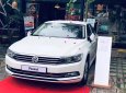 Volkswagen Passat 2017 - Volkswagen Passat Pluemotion trái tim màu xanh, tinh hoa công nghệ  của ngành ô tô Đức - Xe nhập khẩu giá ưu đãi