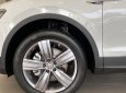 Volkswagen Tiguan 2019 - Volkswagen Tiguan Luxury giảm ngay 50% lệ phí trước bạ!!