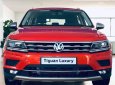 Volkswagen Tiguan 2018 - Volkswagen Tiguan Luxury Cam - nhập khẩu nguyên chiếc từ Đức giảm ngay 50% lệ phí trước bạ!!