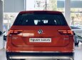 Volkswagen Tiguan luxury  2019 - Volkswagen Tiguan Luxury - Đẳng cấp và tiện nghi - Sang trọng và công nghệ- ưu đãi lên đến 200 triệu