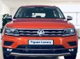 Volkswagen Tiguan luxury  2019 - Volkswagen Tiguan Luxury - Đẳng cấp và tiện nghi - Sang trọng và công nghệ- ưu đãi lên đến 200 triệu