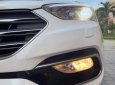 Hyundai Santa Fe   2018 - Bán Hyundai Santafe 2.2L CRDi 2WD 2018