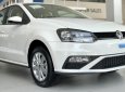 Volkswagen Polo   2021 - Volkswagen Polo Hatchback, màu đỏ, nhập khẩu nguyên chiếc tặng quà hấp dẫn kèm hỗ trợ trả góp 0%