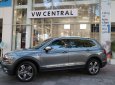 Volkswagen Tiguan Luxury S 2019 - Cần bán xe Volkswagen Tiguan Luxury S 2019, màu xám, nhập khẩu