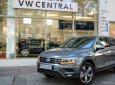 Volkswagen Tiguan Luxury S 2019 - Cần bán xe Volkswagen Tiguan Luxury S 2019, màu xám, nhập khẩu