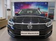 Volkswagen Passat Bluemotion  2019 - Cần bán Volkswagen Passat Bluemotion đời 2019, màu đen, nhập khẩu chính hãng