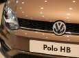 Volkswagen Polo 2020 - Volkswagen Polo Hatchback 2020 màu nâu giảm ngay 100% phí trước bạ- giao ngay