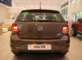 Volkswagen Polo 2020 - Volkswagen Polo Hatchback 2020 màu nâu giảm ngay 100% phí trước bạ- giao ngay