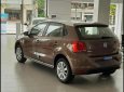 Volkswagen Polo 2020 - Volkswagen Polo Hatchback 2020 màu nâu ưu đãi đặc biệt giảm giá tiền mặt - giao ngay