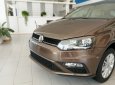 Volkswagen Polo    2020 -  Volkswagen Polo 2020, màu nâu, nhập khẩu nguyên chiếc giá cạnh tranh