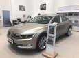 Volkswagen Passat 2018 - Bán ô tô Volkswagen Passat đời 2018, màu vàng, nhập khẩu nguyên chiếc