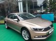 Volkswagen Passat 2018 - Bán ô tô Volkswagen Passat đời 2018, màu vàng, nhập khẩu nguyên chiếc