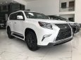 Lexus GX460 Luxury 2021 - Bán xe Lexus GX460 Luxury đời 2021, màu trắng, xe nhập