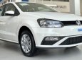 Volkswagen Polo Hatback 2020 - Volkswagen Polo Hatback - Vua dòng xe đô thị - Nhập khẩu nguyên chiếc 2020