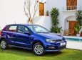 Volkswagen Polo 2020 - Bán Volkswagen Polo năm 2020, nhập khẩu nguyên chiếc, giá ưu đãi