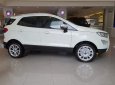 Ford EcoSport 2020 - Bán xe Ford EcoSport 2020, màu trắng