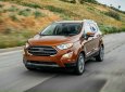 Ford EcoSport 2020 - Bán xe Ford Ecosport 2020 mới