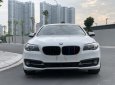 BMW 5 Series 520i 2015 - Thanh lý Bmw 520i 2015 biển Hà Nội cực đẹp và chất