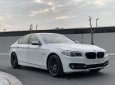 BMW 5 Series 520i 2015 - Thanh lý Bmw 520i 2015 biển Hà Nội cực đẹp và chất