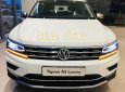 Volkswagen Tiguan Luxury  2019 - Volksawagen Tiguan giảm #120 triệu - Tặng gói phụ kiện 40 triệu