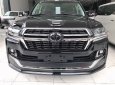 Toyota Land Cruiser 2021 - Giao ngay xe Toyota Landcruiser 4.6V8 Executive Lounge 2021 Trung Đông bản đủ đồ nhất