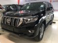 Toyota Prado 2022 - Land Cruiser Prado 2022 mới tại Toyota An Sương