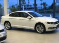 Volkswagen Passat 2018 - Volkswagen Passat Bluemotion High nhập khẩu nguyên chiếc, tặng 100% lệ phí trước bạ trong tháng 2