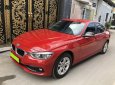 BMW 3 Series 2017 - Nhà tôi cần bán BMW 320i Model 2017 nhập Đức, số tự động, màu đỏ tươi