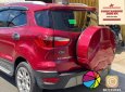 Ford EcoSport 2019 - Ecosport Titanium 2019 đẹp xuất sắc