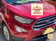 Ford EcoSport 2019 - Ecosport Titanium 2019 đẹp xuất sắc