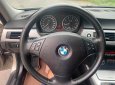 BMW 3 Series 320i  2008 - Tôi cần bán lại BMW 320i 2008, số tự động, màu xám