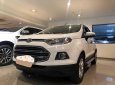 Ford EcoSport   2016 - Ecosport Titinium 2016 đẹp xuất sắc