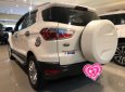 Ford EcoSport   2016 - Ecosport Titinium 2016 đẹp xuất sắc