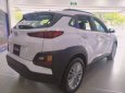 Hyundai Hyundai khác 2020 2021 - Hyundai Kona 2021 – giảm nóng 55 triệu – lãi suất 0% – xe đủ màu giao ngay