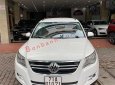 Volkswagen Tiguan     2010 - Cần bán lại xe Volkswagen Tiguan đời 2010, màu trắng, nhập khẩu 